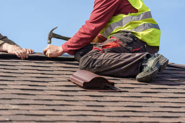 Roof Gutter Cleaning in Cambria, IL