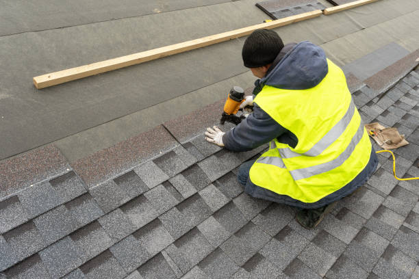 Best Local Roofing Companies  in Cambria, IL