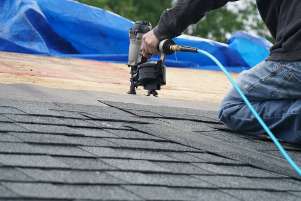 Best Roof Gutter Cleaning  in Cambria, IL