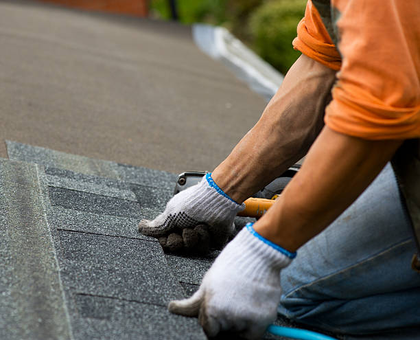 Best Commercial Roofing Services  in Cambria, IL