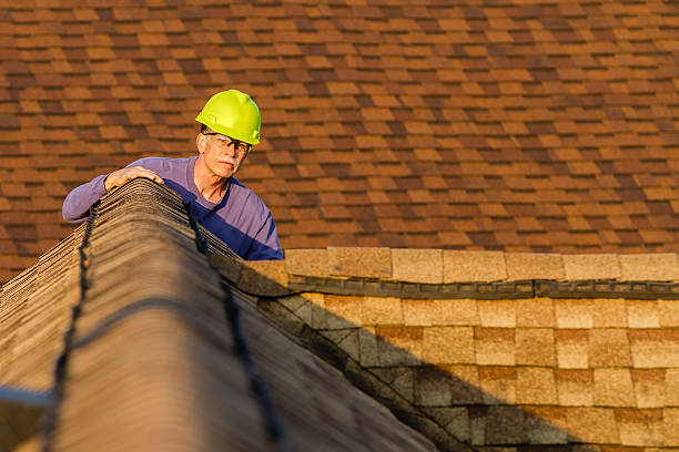 Best Best Roofing Contractors  in Cambria, IL