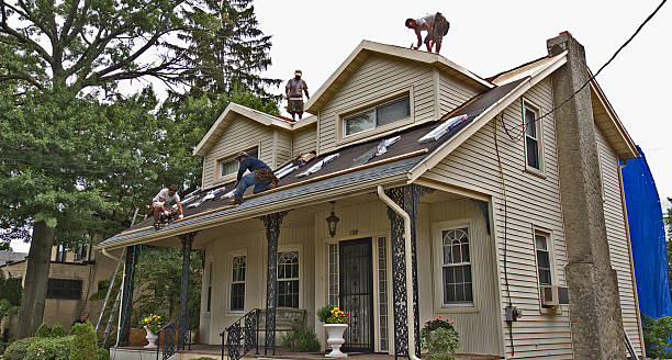 Best Storm Damage Roof Repair  in Cambria, IL
