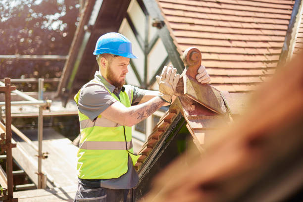 Best Roof Restoration Services  in Cambria, IL