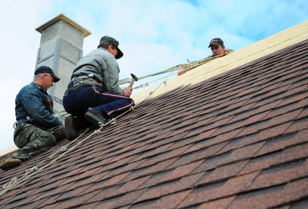 Best Residential Roofing Contractor  in Cambria, IL