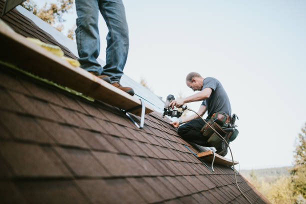 Quick and Trustworthy Emergency Roof Repair Services in Cambria, IL