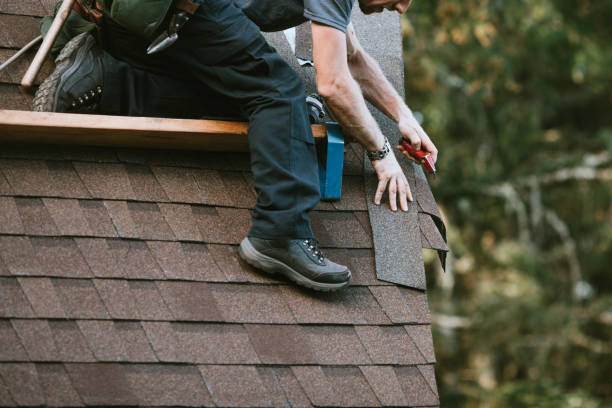 Best New Roof Installation  in Cambria, IL