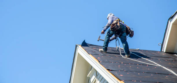 Professional Roofing Contractor in Cambria, IL